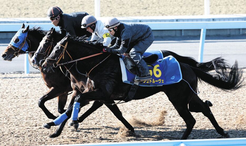 ウッドチップコースで（奥から）サトノガレオン、ダノンベルーガと併せて追われるシュトルーヴェ（手前）