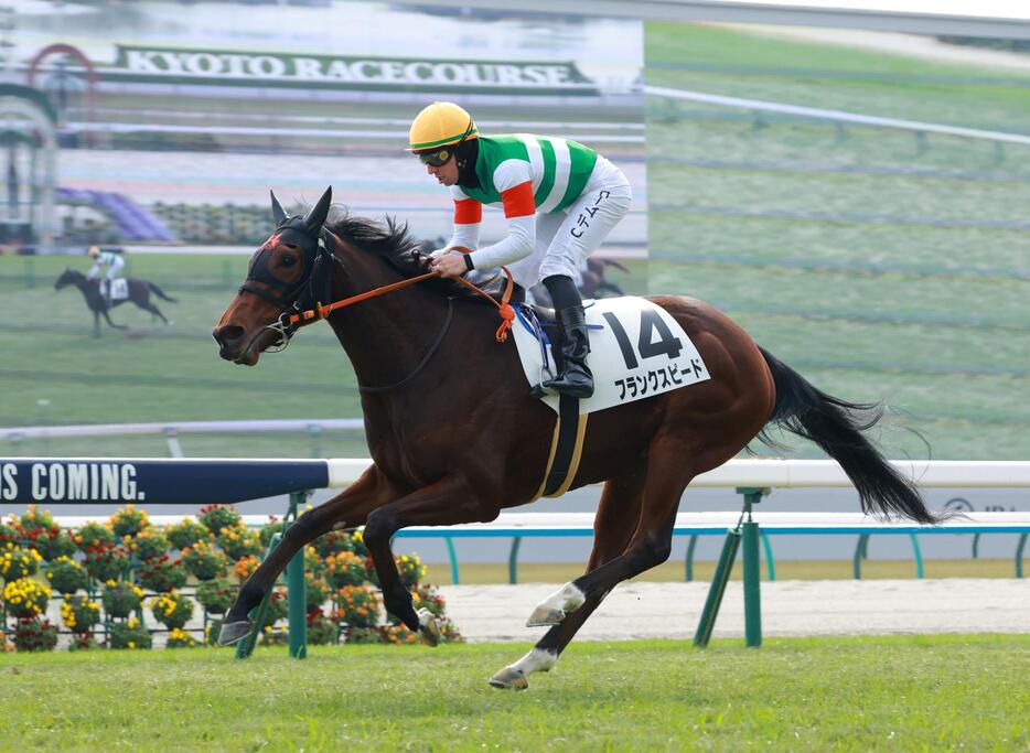 　新馬戦を制したフランクスピード（撮影・石湯恒介）