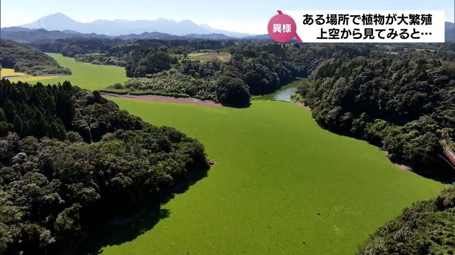 宮崎放送