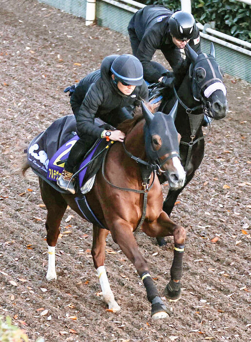 併せ馬で追い切るアルテヴェローチェ（左）