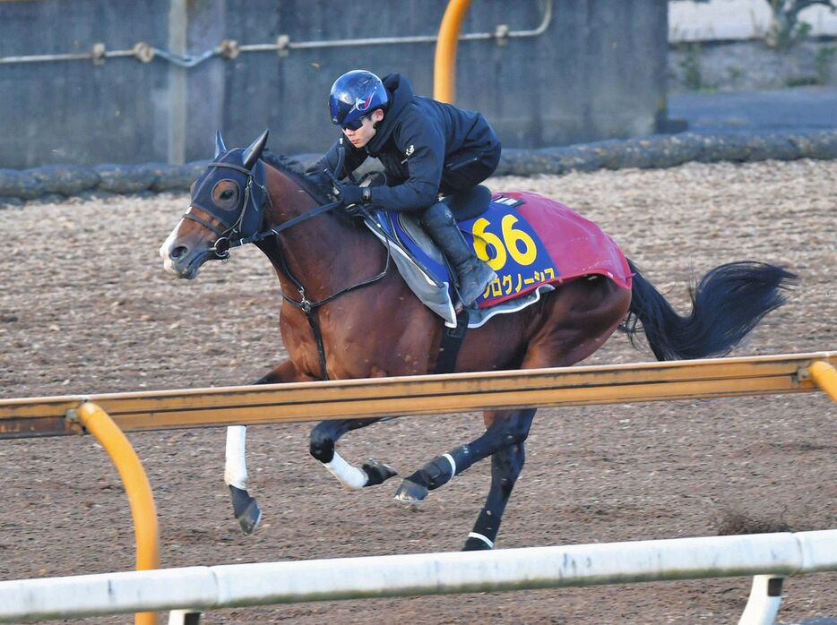 三浦皇成を背に栗東ＣＷで追い切るプログノーシス＝栗東トレセン