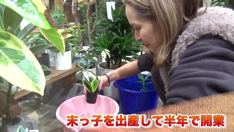 末っ子の生後半年でお店をオープン