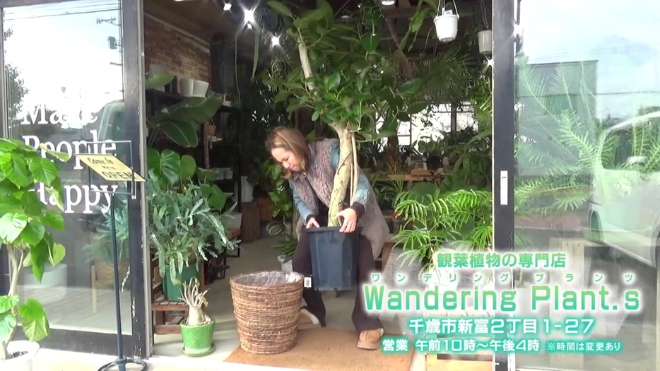 千歳市の「Wandering Plant.s」