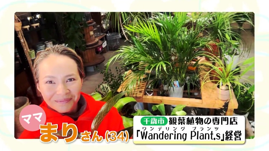 千歳市で観葉植物のお店を経営するまりさん