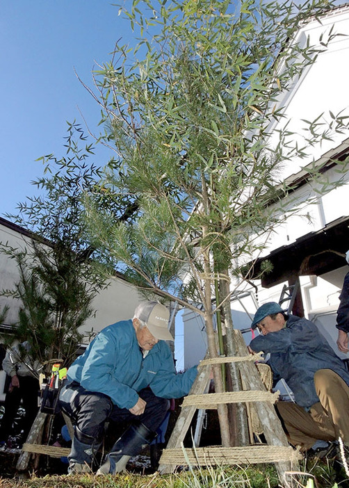 酒の民俗文化博物館前に建てられる門の形をした門松。支柱の根元部分には縁起を担いで縄を七五三の数だけ巻き付けた＝一関市田村町の世嬉の一酒造