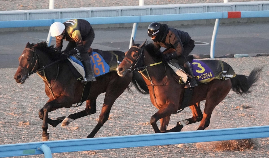 併せ馬で追い切るアリオーンスマイル（右）（撮影・郡司修）