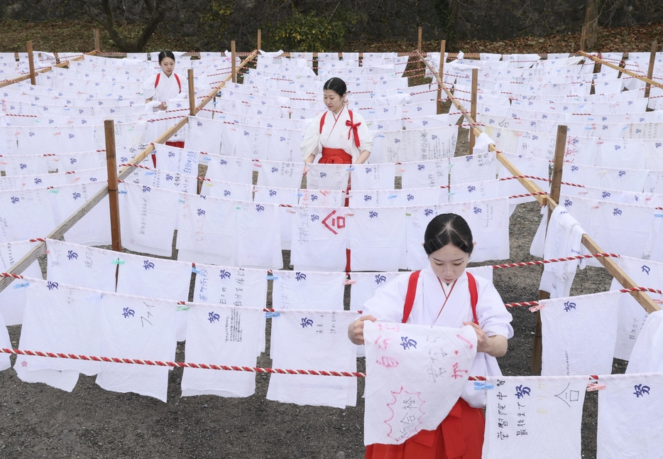 巫女たちの手で干される「合格はちまき」（16日、防府天満宮で）＝秋月正樹撮影