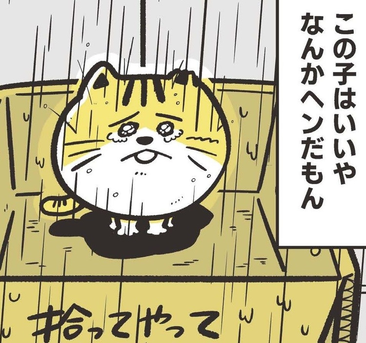 「拾ってください」と書かれた段ボール。けれど一匹だけ、置いていかれて…