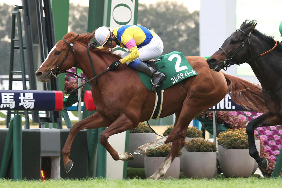 1月6日、京都金杯を制したコレペティトール