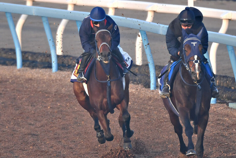 無傷の３連勝で女王の座を目指すブラウンラチェット（左）