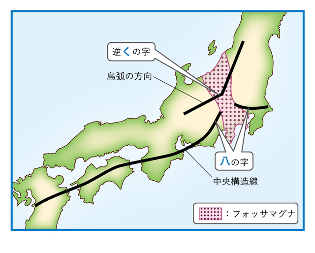 日本列島の不思議な特徴。島弧の方向は「逆くの字」に、中央構造線は「八の字」に曲がっている