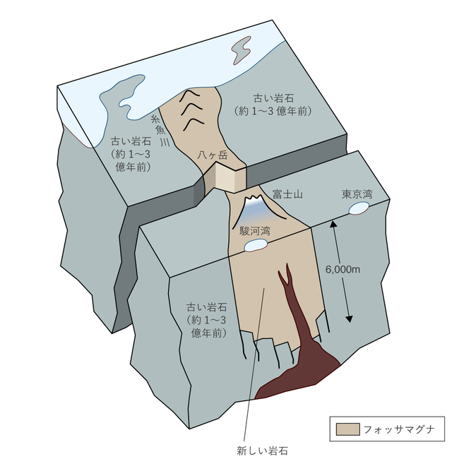 フォッサマグナとその両側の岩石のイメージ。フォッサマグナの地質は東西両側よりもはるかに年代が新しい