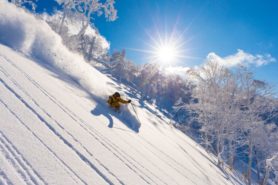 「スキーやスノーボードをするなら必ず一度は、北海道の雪を滑ることをおすすめしたいですね」とスキー凸凹研究所のＫ所長（PHOTO：加森観光株式会社プレスリリースより）