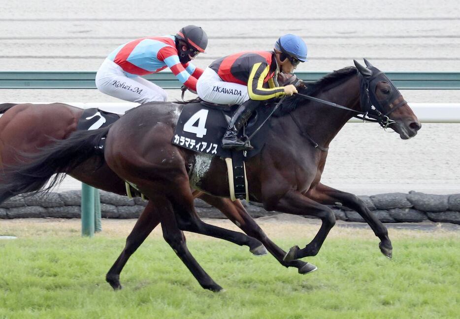 こうやまき賞を制したカラマティアノス＝中京競馬場（撮影・安部光翁）