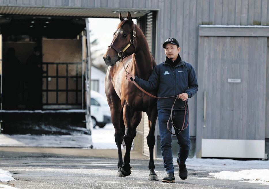 社台スタリオンステーションに到着したドウデュース