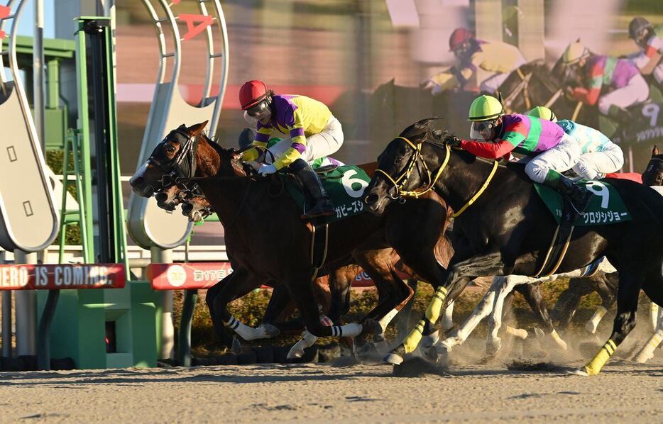 カペラSを勝ったガビーズシスター