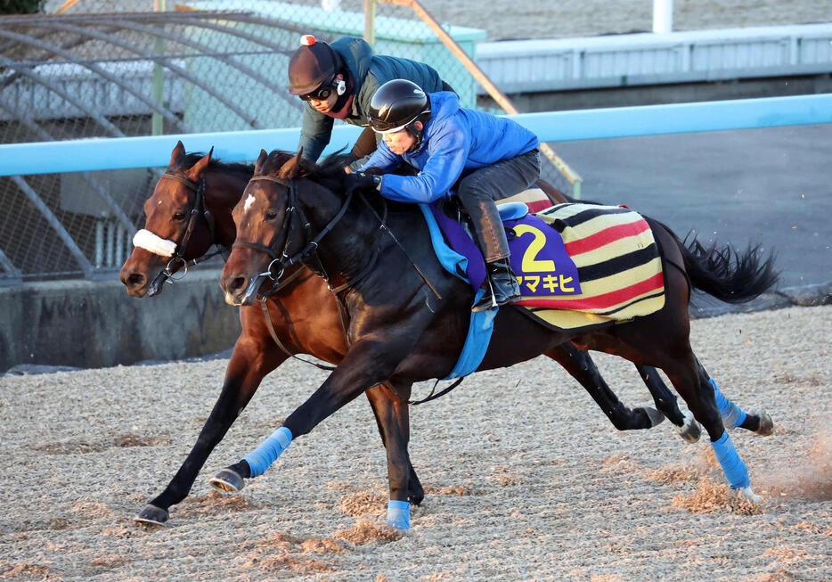 アマキヒ（手前）は美浦ウッドを併せ馬で追い切られた（撮影・丹羽敏通）