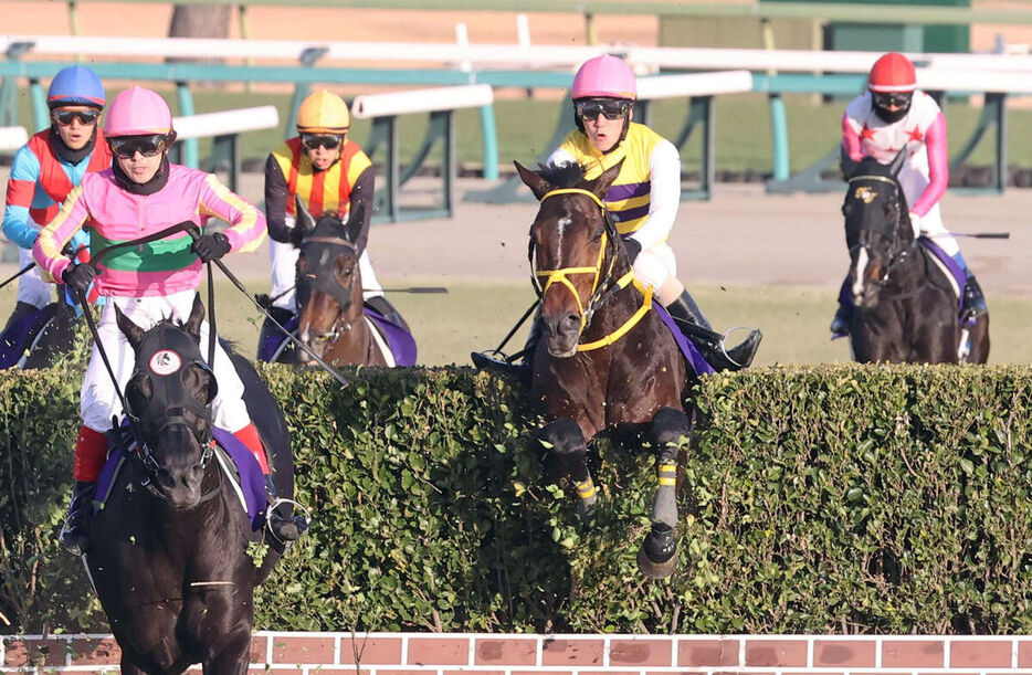 飛越するニシノデイジー（右から２頭目）（カメラ・池内　雅彦）