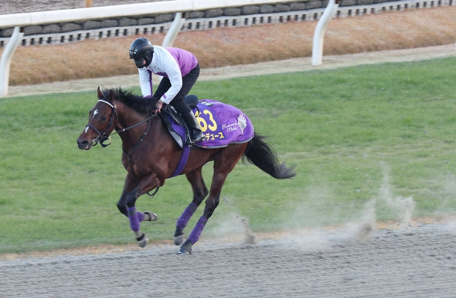 ＜有馬記念・追い切り＞ポリトラックにて併せ馬で追い切ったドウデュース（撮影・亀井　直樹）