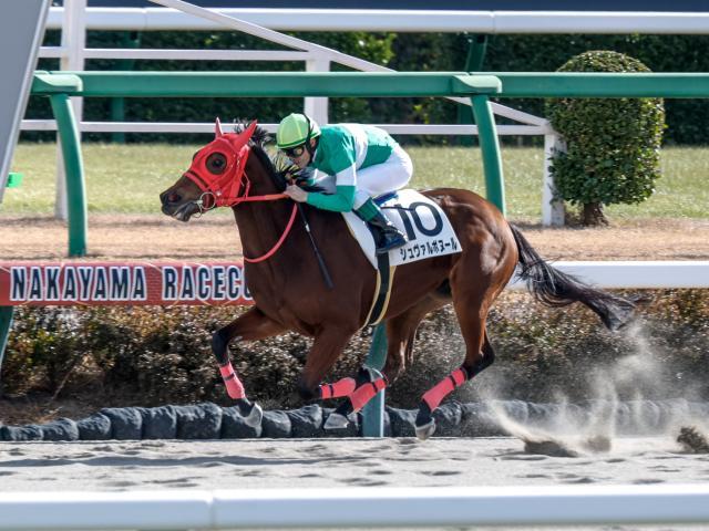 中山5Rの新馬戦を制したシュヴァルボヌール(撮影：下野雄規)