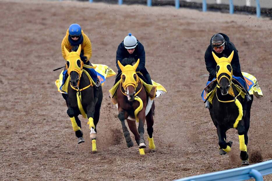 鞍上も感触の良さを口にするニタモノドウシ（中）