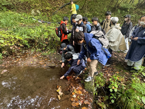 群馬県の「奥利根水源の森」で、利根川の水源や植物の観察を行う中学１年生たち