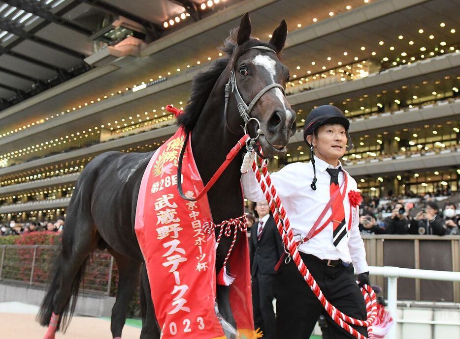 2023年の武蔵野Sを制したドライスタウト