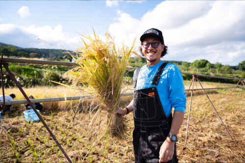 ［写真］＝石川直宏ご本人より提供　NAO’s FARMでの稲刈り