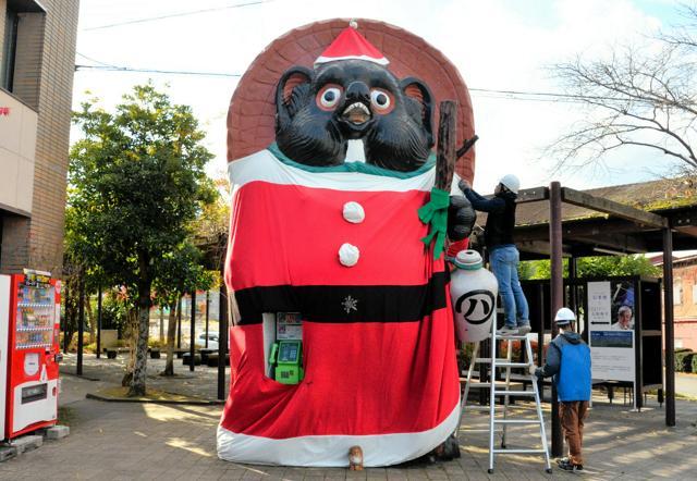 サンタクロースの衣装を着せられる大たぬき=2024年12月6日午前10時36分、滋賀県甲賀市信楽町長野、仲程雄平撮影