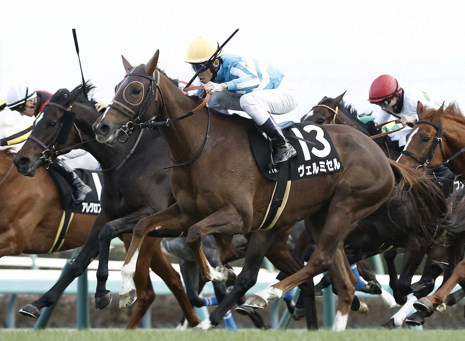 ＜中山11R・グレイトフルS＞レースを制したヴェルミセル（撮影・五島　佑一郎）