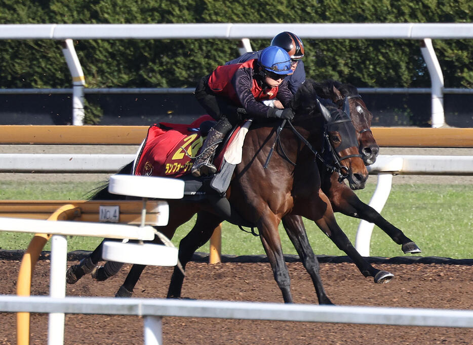 小崎騎手を背にCウッドをレッドダンスール（奥）と併せ馬で追い切るランフォーヴァウ（撮影・白石智彦）