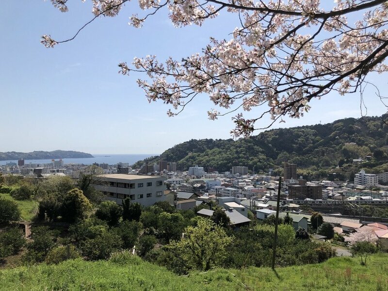 湯河原の高台から眺める海