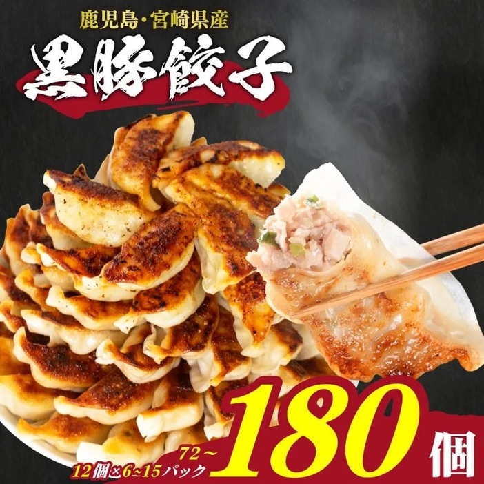 訳あり 餃子 180個