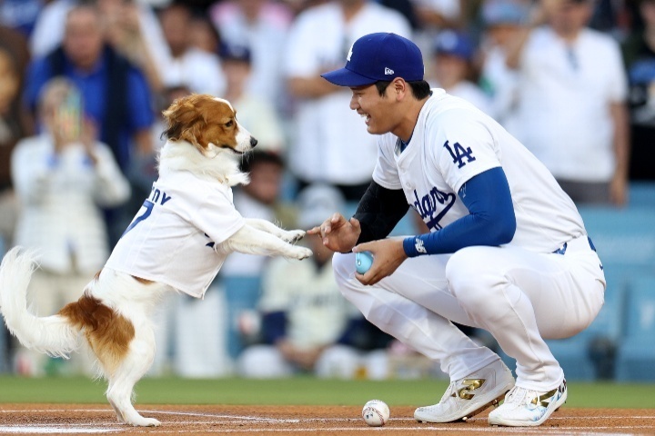 世界中の野球ファンの心をつかむデコピン。(C)Getty Images