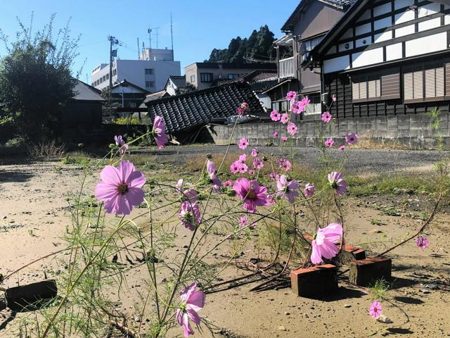 人口減が続く石川県珠洲市の一角。奥に市役所が見える=2024年10月21日、同市、土井良典撮影