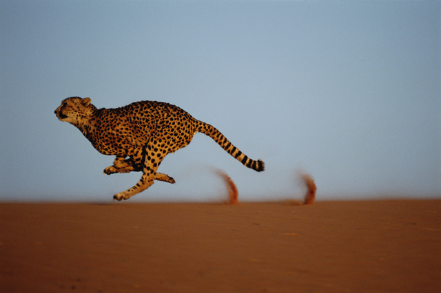 Photo by gettyimages