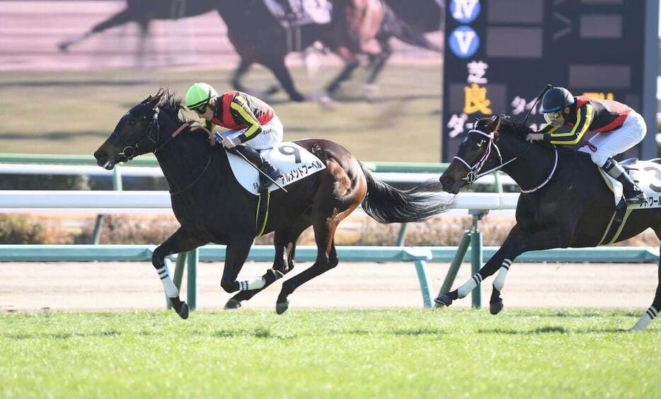 デビュー戦を制したアルメントフーベル＝中山競馬場（撮影・菅原和彦）