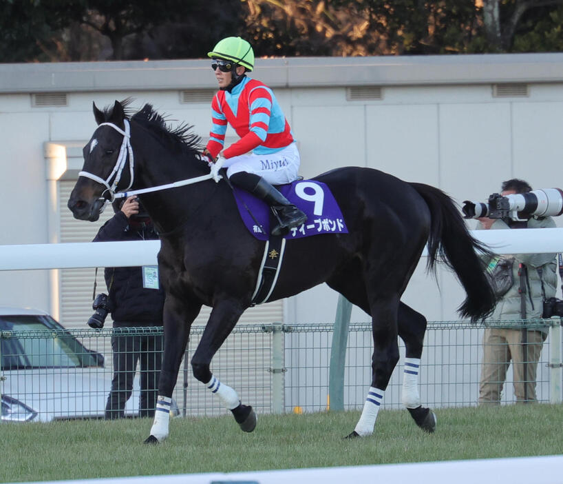 有馬記念で13着に終わったディープボンドと幸騎手（撮影・野上伸悟）