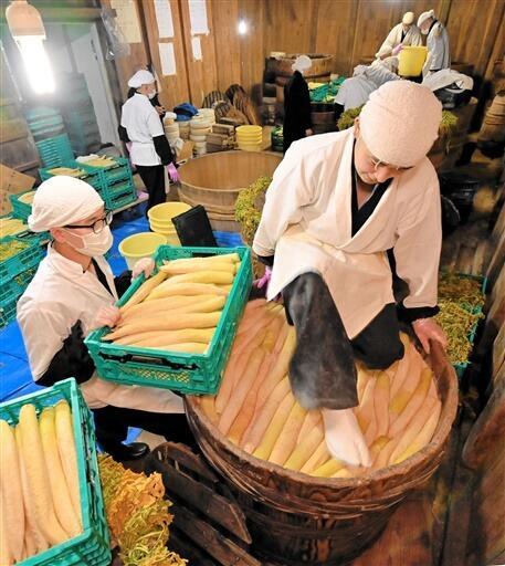 木おけに入り、たくあんを漬ける雲水ら=11月29日、福井県永平寺町の曹洞宗大本山永平寺