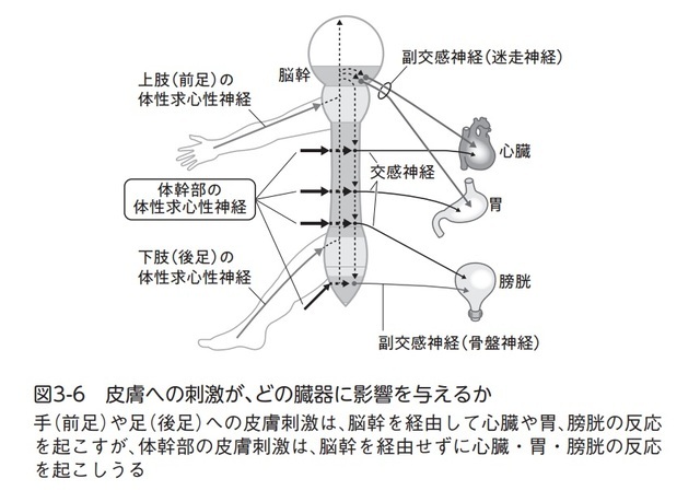 写真:現代ビジネス