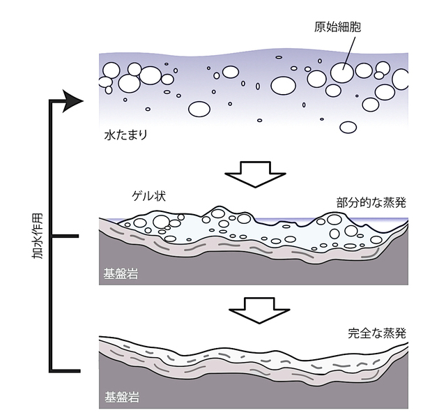 陸上温泉地帯での乾燥と加水の繰り返し(Damer and Deamer2020にもとづく)original illustration by Ikuo Katayama/Hidenori Yanagisawa