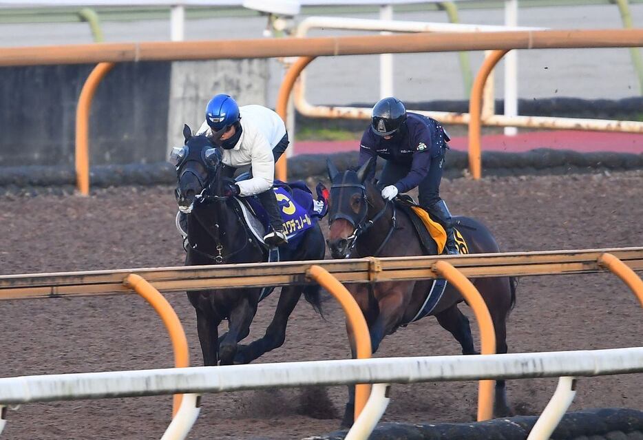 クロワデュノール（左）はシャープな伸びを披露した＝栗東トレセン（撮影・岩川晋也）