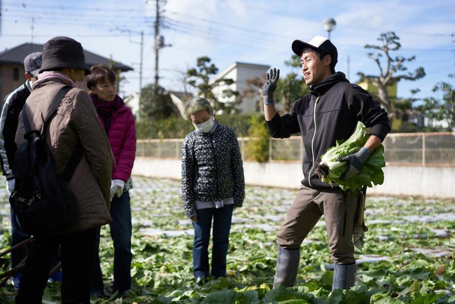 畑で「はじかれ野菜」について学ぶ参加者たち