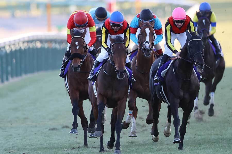 中山競馬場で行われた第69回G1有馬記念【写真：産経新聞社】