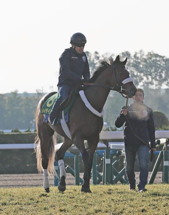 2日、京都競馬場で運動するメイデイレディ