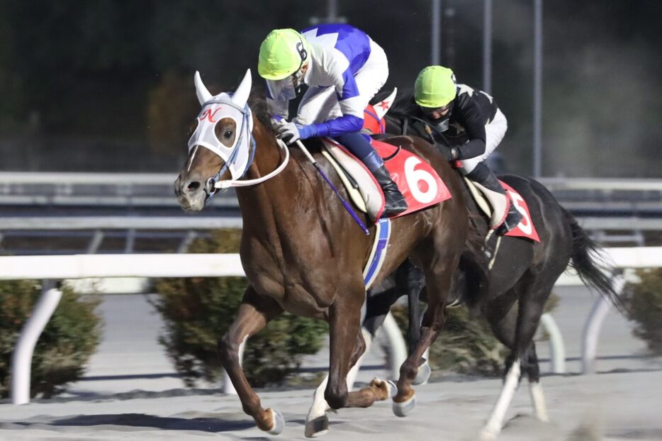 鏡川特別・マジックセブンと佐原秀泰騎手 (C)高知県競馬組合