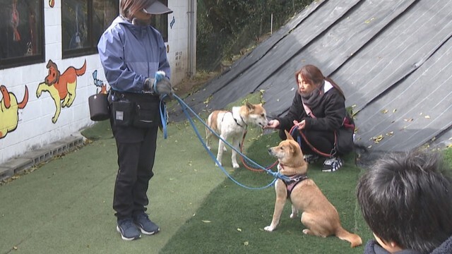 保護犬の訓練施設を児童が見学