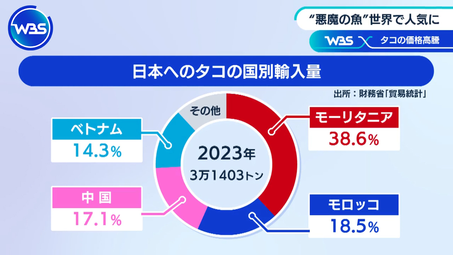 タコの輸入のうち約4割をモーリタニアに依存している