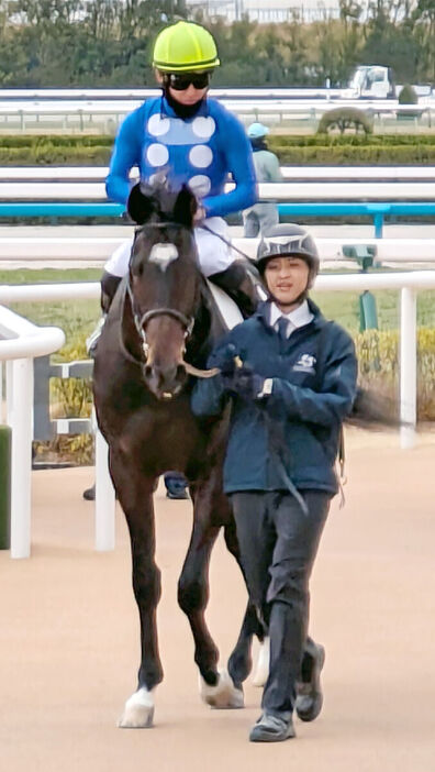 新馬を勝ったタイセイドラードと西村淳也騎手