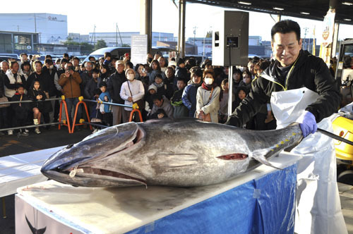 【マグロの解体ショーに見入る参加者ら＝四日市市河原田町の北勢地方卸売市場で】